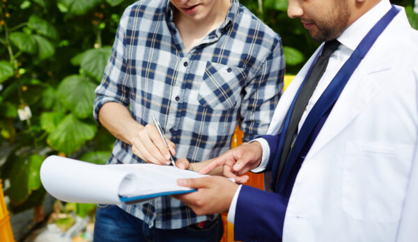 signing-document